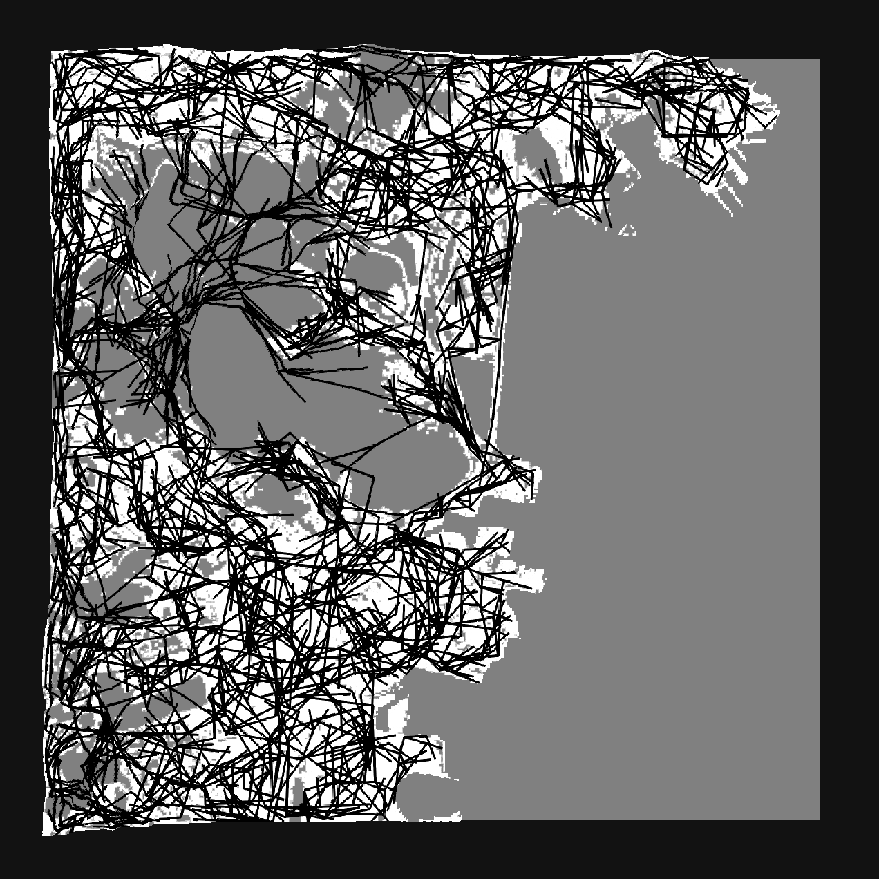 Population density map with roads